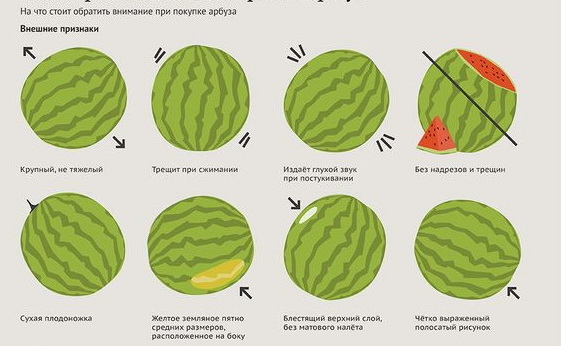 Как выбрать арбуз по внешним качествам