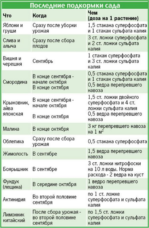 Сроки подкормки осенью