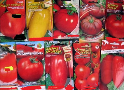 Семена разных сортов томатов