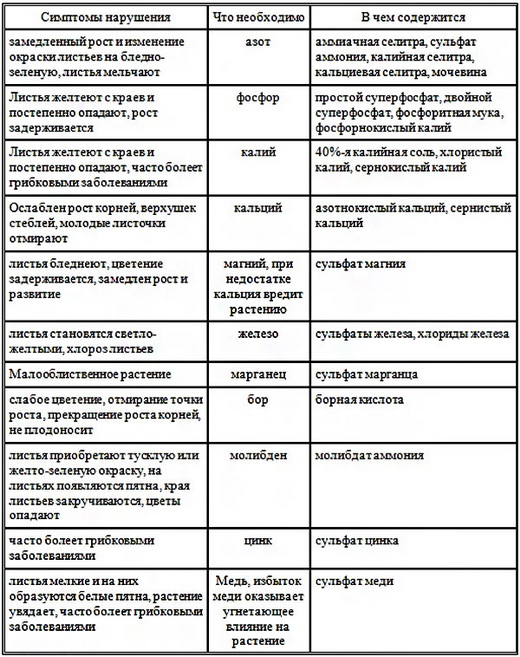 Виды удобрений при подкормке